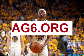 球探足球即时比分官网